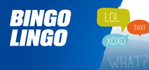bingo lingo screenshot
