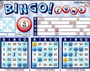 bingo zone ticket screenshot