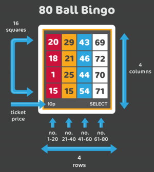 80ball bingo instructions screenshot