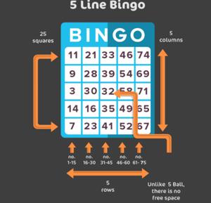 5 line bingo grid screenshot