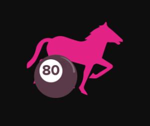 stallion race bingo screenshot