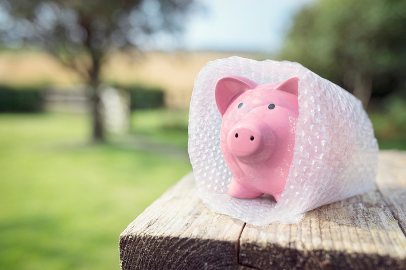 piggy bank in bubble wrap