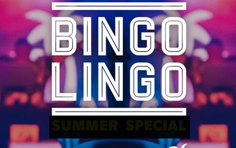 Bingo Lingo: A Night Out Like No Other